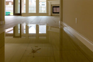 water damage cleanup hartford